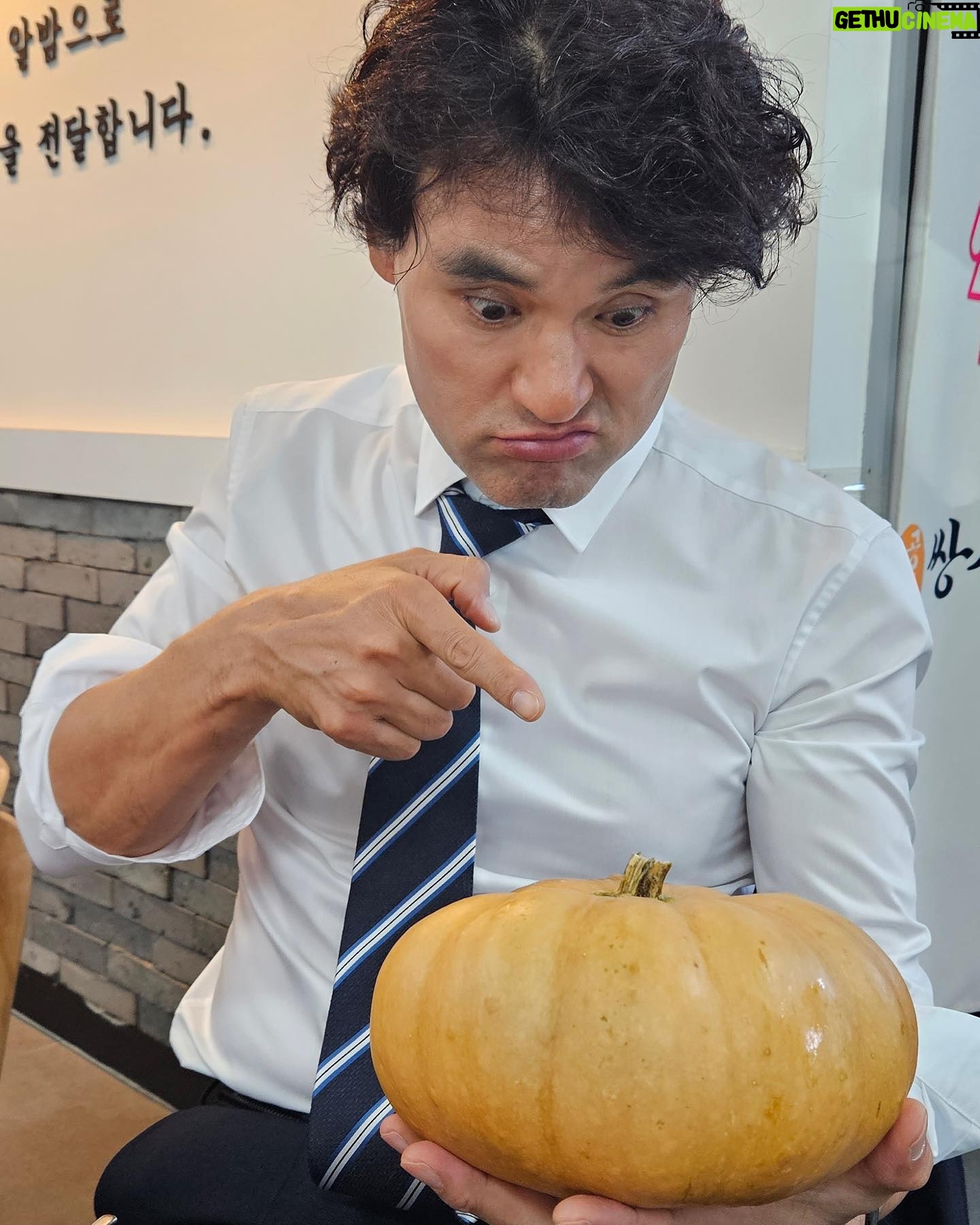 Park Chan-ho - 7.6K Likes - 찬호박 호박이랑 한판붙었다. “이녀석이 말을하는데 대답을 안하잔아요”. 자꾸 대답이없어서 먹어버릴려고 하는데 힘을 주잔아요. 날씨도 춥고 해서 차가워지고 딱딱해져서 이빨이 아파요 ㅠㅠ. 찬호박 못이긴다. 주방아주머니는 이기겠지. 갈아서 죽써먹는다고. 호박죽은 핫호박. 나는 영원한 찬호박 입니당.