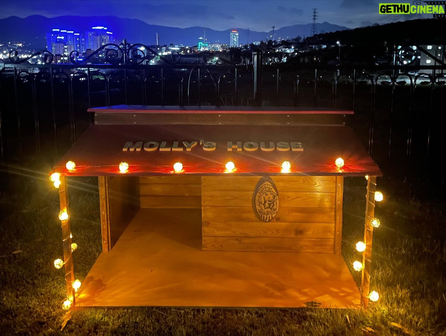 Park Eun-seok - 124.7K Likes - 그동안 "어디세요 은석씨"를 시청해주셔서 감사합니다. 힘든 촬영을 함께해준 덤덤스튜디오스에게도 매우 감사합니다. 다음에 더 재미있는 프로젝트로 찾아뵙겠습니다.
*본 내용은 기사화를 원하지 않습니다*
.
.
.
#어디세요은석씨 #덤덤스튜디오 #제주도 #여행 #실버스톤스튜디오스