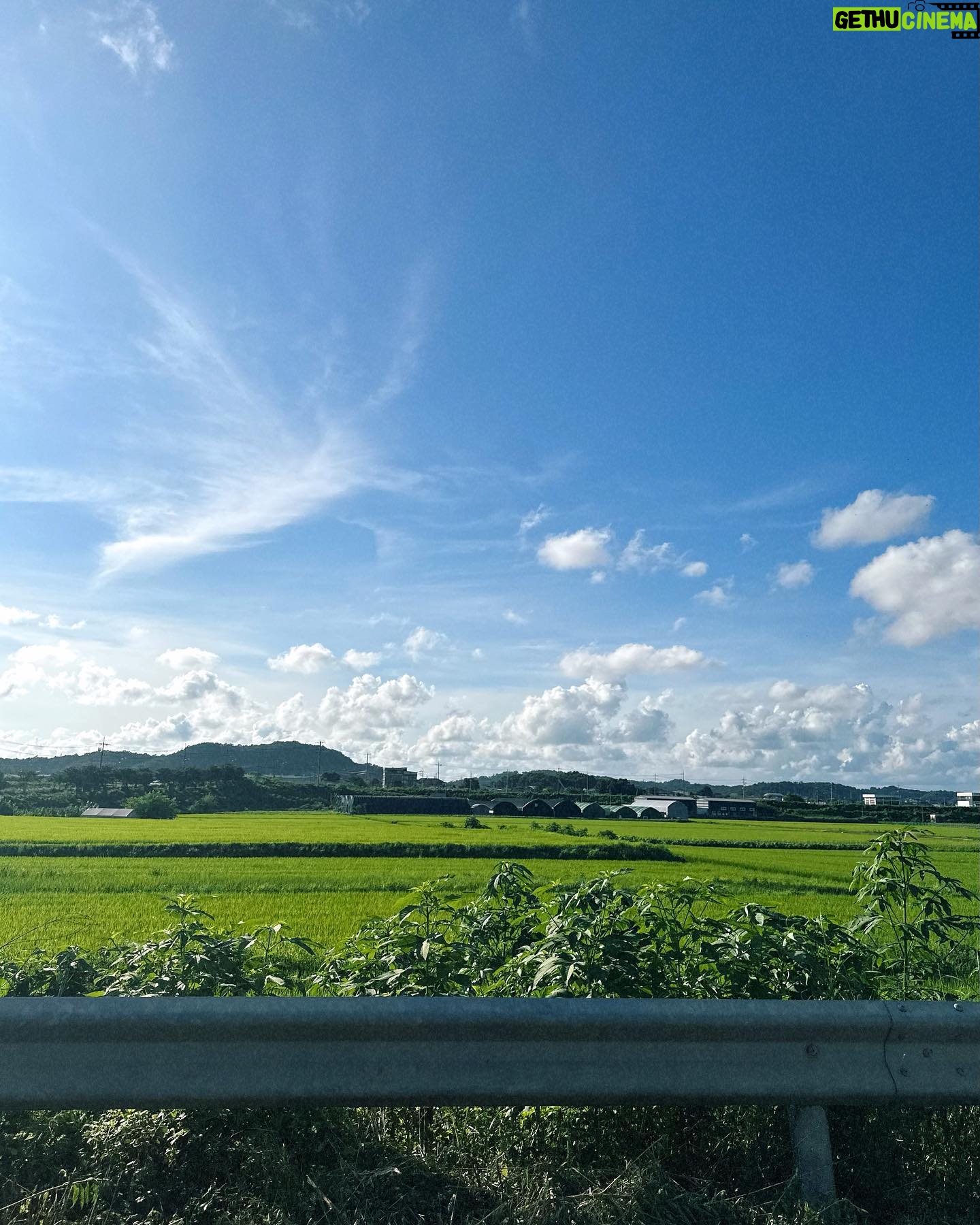 Park Jae-chan - 3 Likes - 하늘 사진전☁️