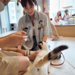 Park Joo-hee