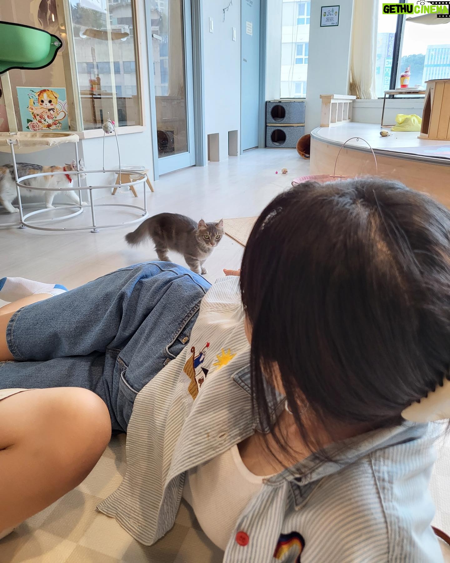 Park Joo-hee - 2.8K Likes - 8월쯤?