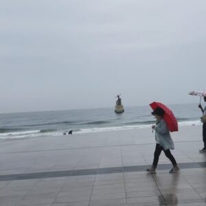 Park Min-ji Instagram - 2024 2분기 정리 3.

모여모여 부산 가자 🌊🌊🌊
(비는 안 모였어두 됐는뎅 ;)