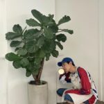 Park Sung-hoon