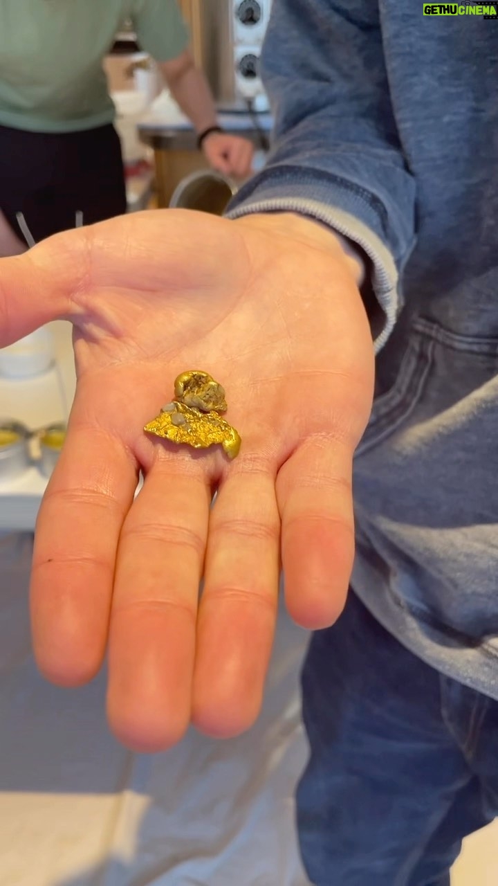 Parker Schnabel - 31.9K Likes - Get yourself some nugs. Link in my bio.