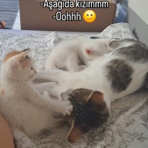 Parla Şenol Instagram - 