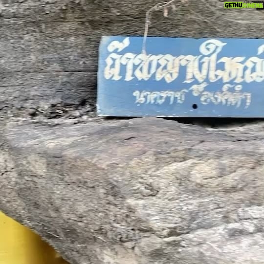 Passin Reungwoot - 570 Likes - #วัดภูยอดรวย #ตามรอยนาคราช