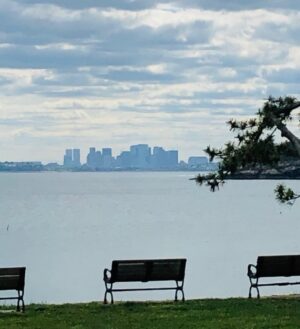 Patricia Cornwell Instagram - Good morning from Boston. (I saved you a seat.)💕✍🏼🔎