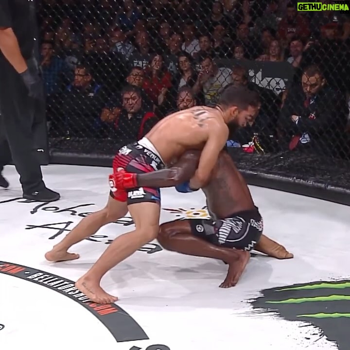 Patricio Freire - 3.8K Likes - @patriciopitbull does not mess around once the cage door closes š¤
#PFLvsBellator | #RiyadhSeason