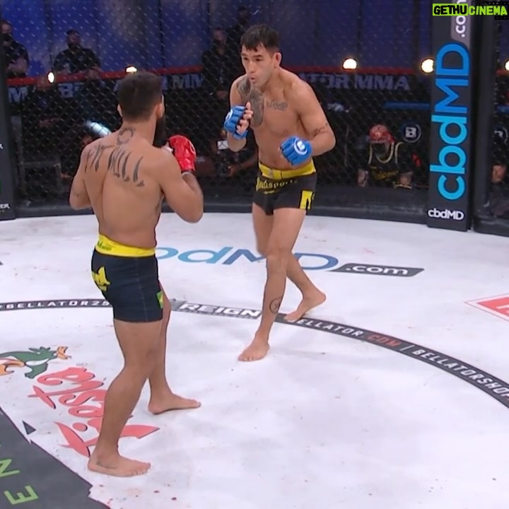 Patricio Freire - 3.8K Likes - @patriciopitbull does not mess around once the cage door closes š¤
#PFLvsBellator | #RiyadhSeason