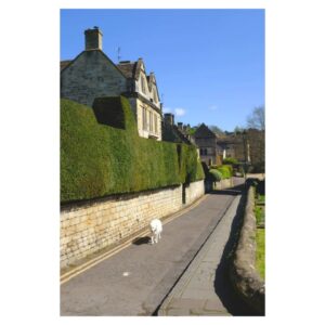Patrick Grant Instagram - Around Bradford-on-Avon