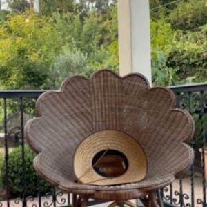 Patton Oswalt Instagram - This hummingbird hover-bombed me while I was meditating on the porch and pretty much acted out what my thoughts were doing at that exact moment.