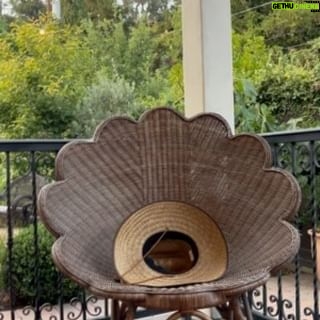 Patton Oswalt - 1.5K Likes - This hummingbird hover-bombed me while I was meditating on the porch and pretty much acted out what my thoughts were doing at that exact moment.