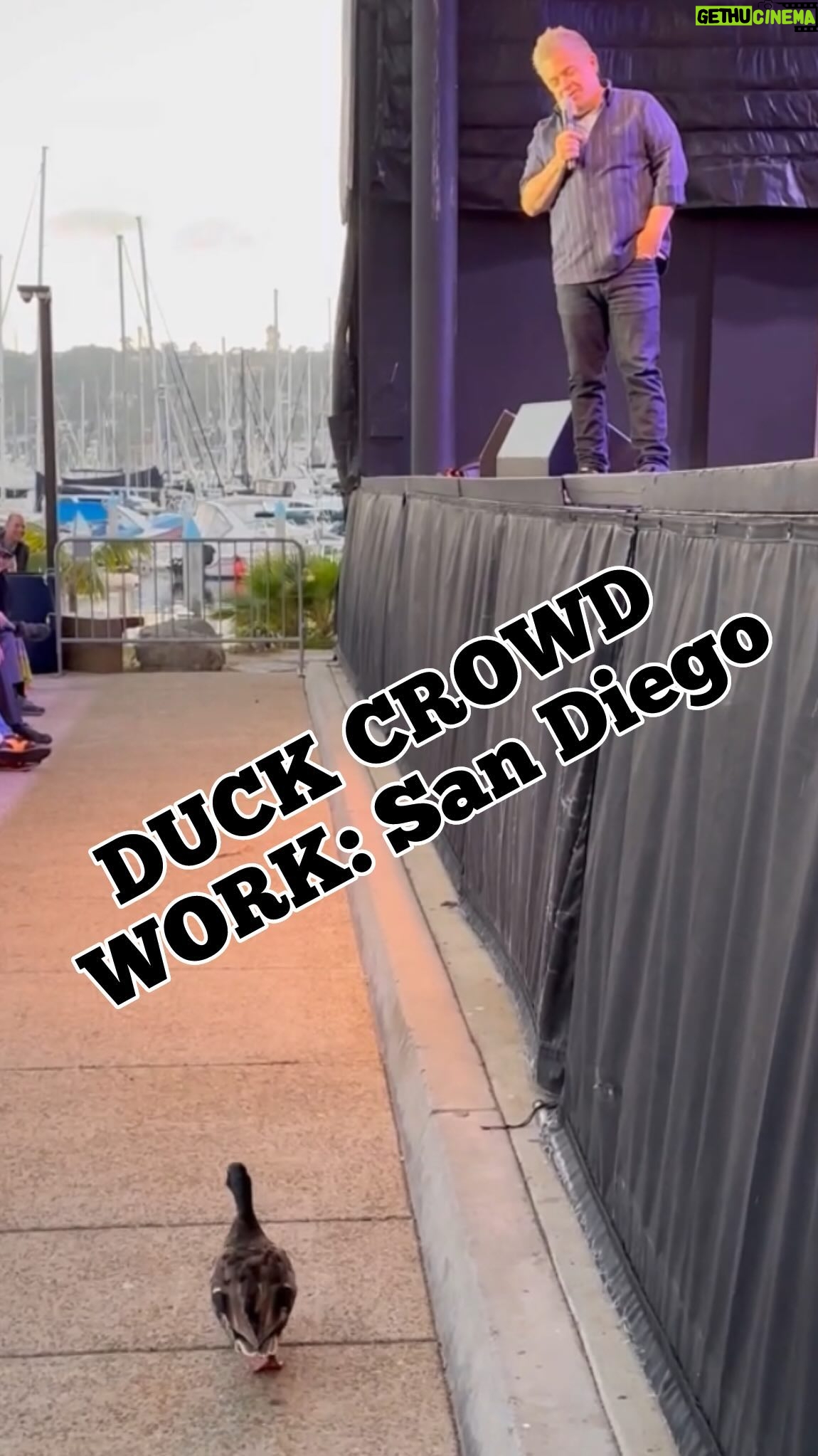 Patton Oswalt - 6K Likes - This is CROWD WORK (duck work) I have witnessed! @pattonoswalt @therupple witnessed the revenge of Howard the Duck. Damn you George Lucas! #crowdwork #animalattacks #standup #pattonoswalt #ducks #howardtheduck #georgelucas #standupcomedy #bestcrowdwork #crowdworkcomedy #fathersday #deadbeatduck #duckdad #cuteanimals #animalcrossing #fathersdayspecial #fathersdaygift