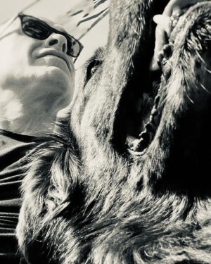 Paul Blackthorne Instagram - Gorgeous Corsican Pooches I wish I could take home…