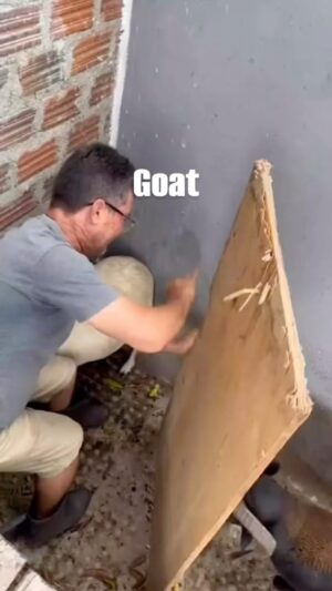 Paul Chowdhry Instagram - #goat
