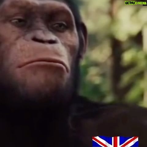 Paul Chowdhry - 3.4K Likes - It's coming home