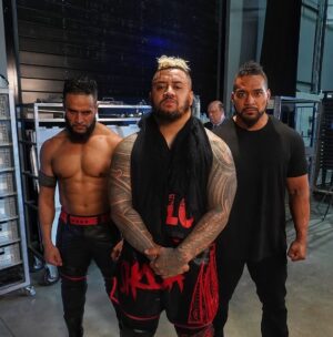 Paul Heyman Instagram - ☝️🩸BLOODLINE 🩸☝️

#WWEBacklash