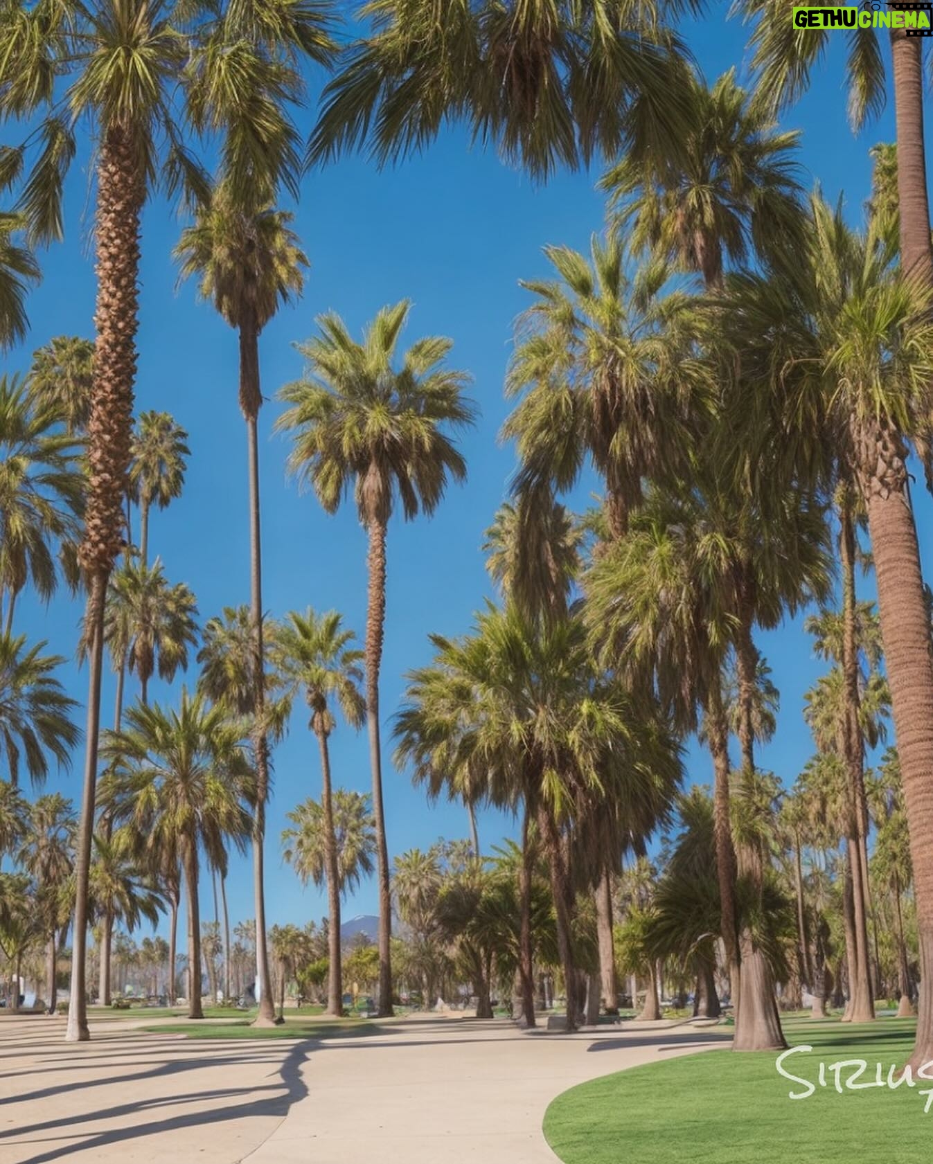 Paul Reubens - 9.4K Likes - Pee-wee’s presence is felt everywhere! 🌵🏜️🏝️🏙️🏙️🌳 ☁️ Squint to see him! @peeweeherman #peewee #peeweeherman #opticalillusion #cabeladams #paulreubens #peeweesbigadventure #peeweesplayhouse #memorial #peeweeforever