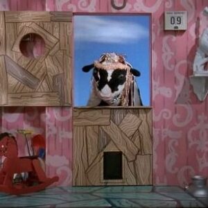 Paul Reubens Instagram - 🐄 Come on, dudes, let's party! TGIF!!
