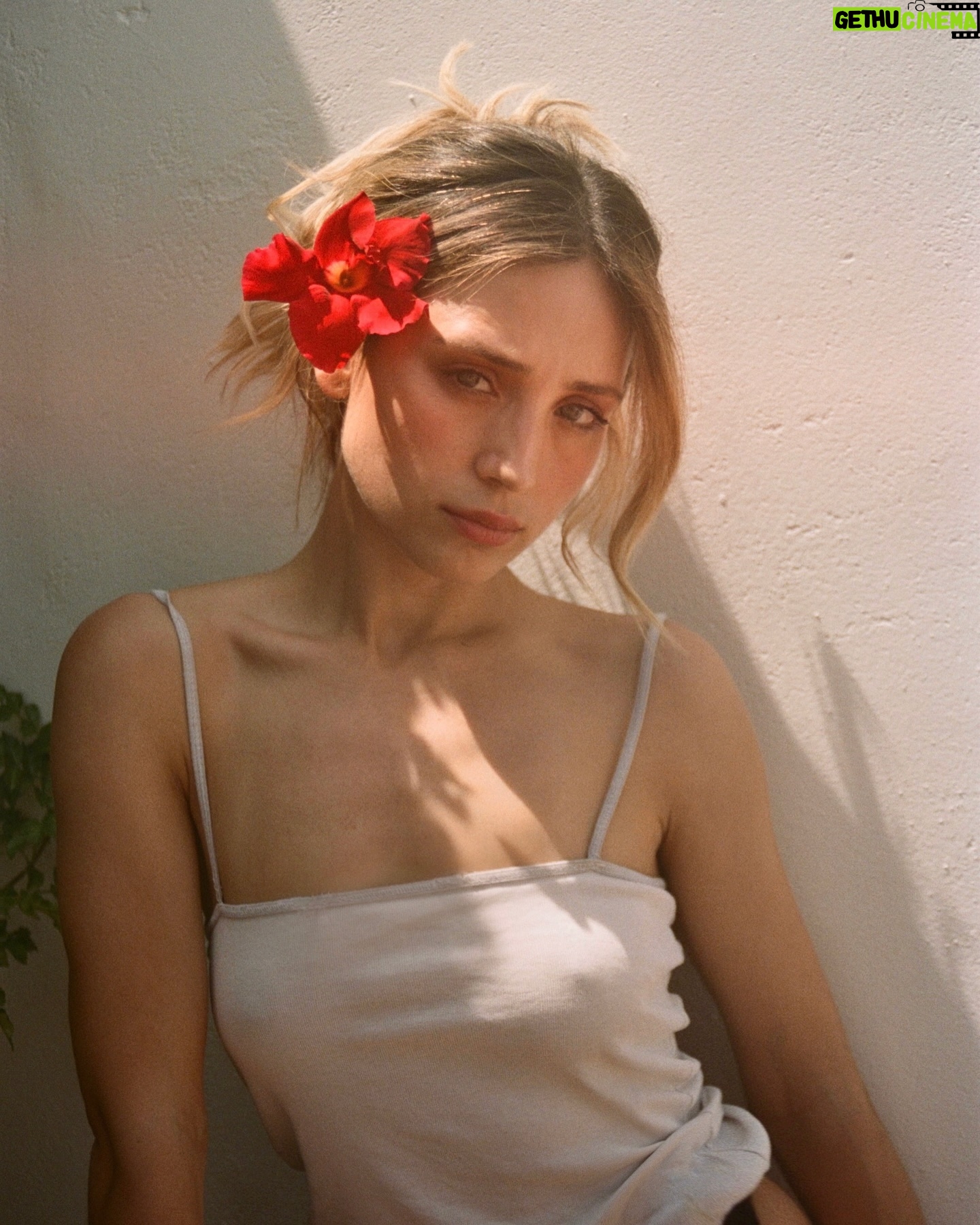 Paula Magalhães - 1.2K Likes - Uma papoila e uma flor 🌺