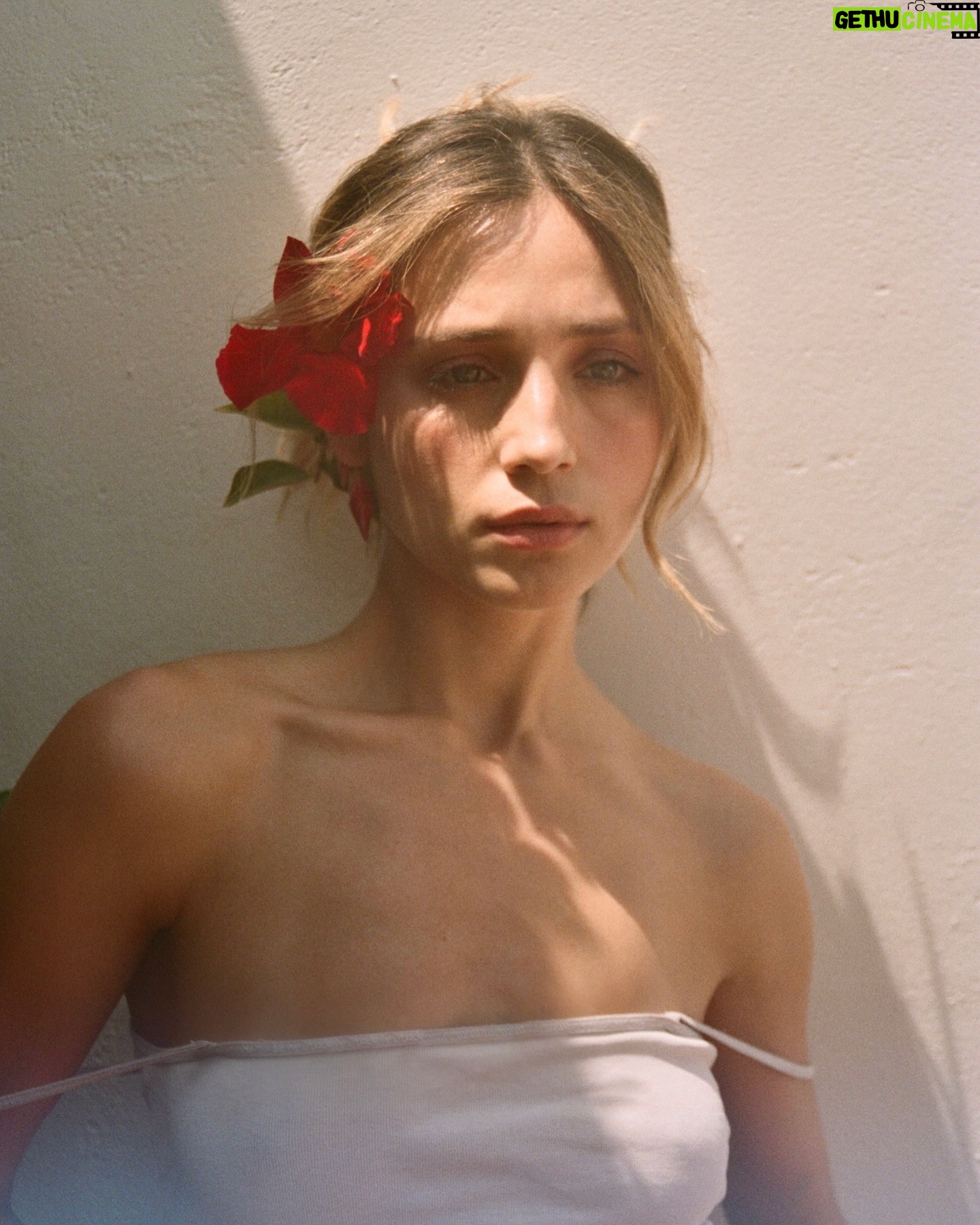Paula Magalhães - 1.2K Likes - Uma papoila e uma flor 🌺
