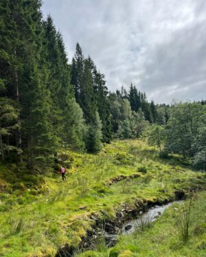 Paulina Chruściel Instagram - #godmorgen 🌲å☕️ ø🫐æ Czytanie książek na błękitnych schodach, zbieranie jagód i grzybów z dziadkiem, kąpiele we fiordzie kiedy słońce , wycieczki w dzikiej przyrodzie kiedy deszcz i słówka norweskie nie do wymówienia😂Takie wakacje🤍🇳🇴🫐 #scandinavia #hygge #ferie