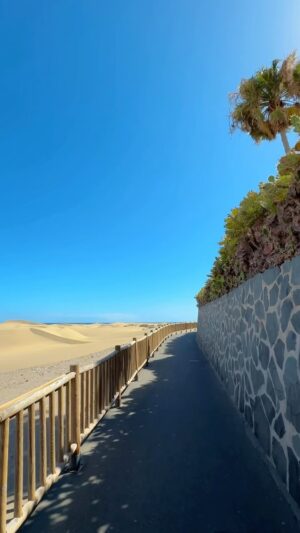 Paulo Sousa Instagram - uns dias na Gran Canaria 📍tudo organizado pelo @solferias_operadorturistico @visitgrancanaria @aborabylopesanhotels #OMundoÉSolferias #Aborabylopesanhotels #GranCanaria #MuitoPorViver