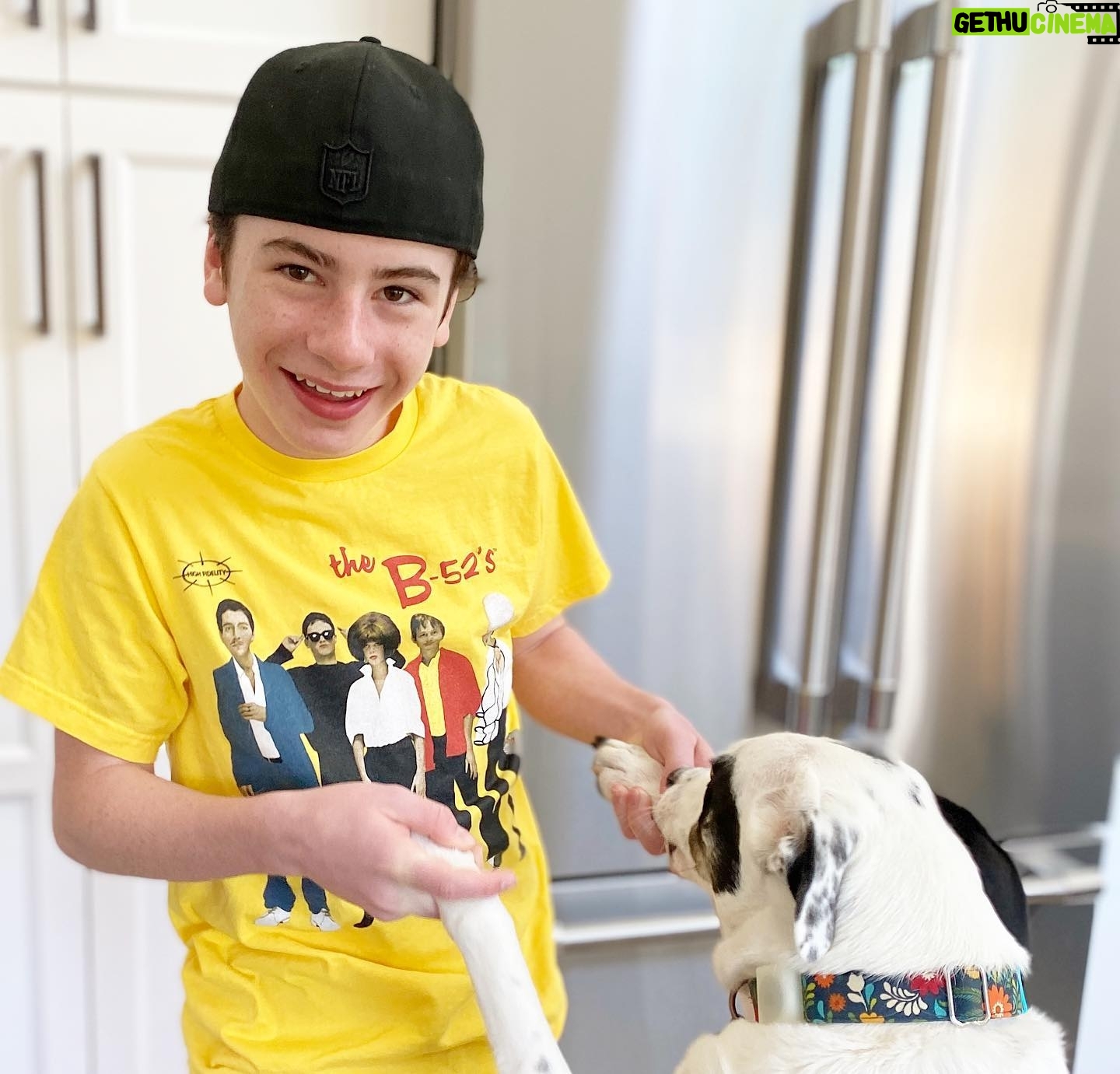 Paxton Booth - 2.1K Likes - 🪨🦞 makes everyone dance! Even Ripley 🐾
@theb52sband