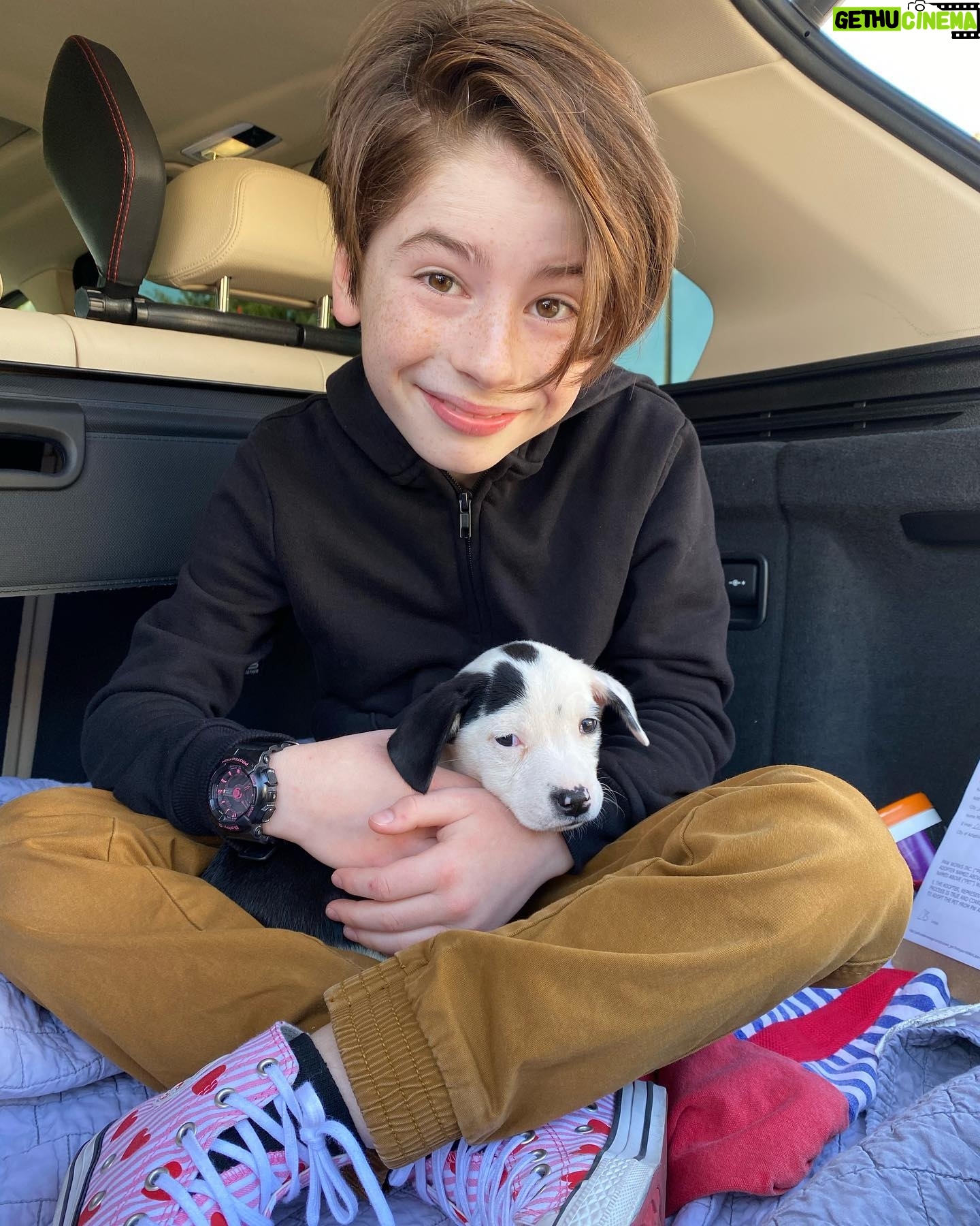 Paxton Booth - 3.2K Likes - Happy #nationalpuppyday 🐶 #fb to Ripley’s gotcha day!
Big thanks to @pawworks for all the lives they save! Please adopt, don’t shop 💕