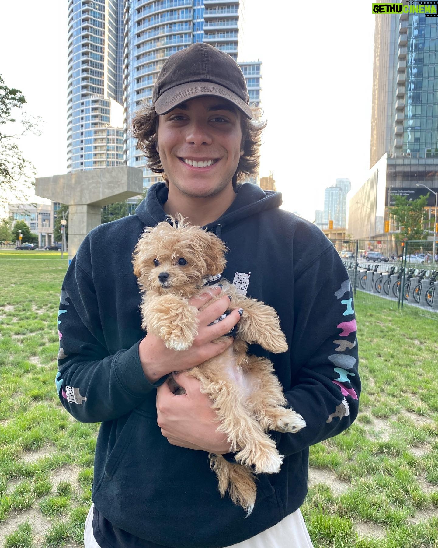 Pearce Joza - 55.1K Likes - Cappuccino !