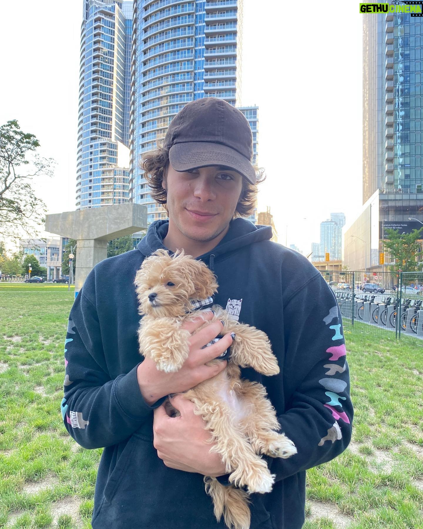 Pearce Joza - 55.1K Likes - Cappuccino !