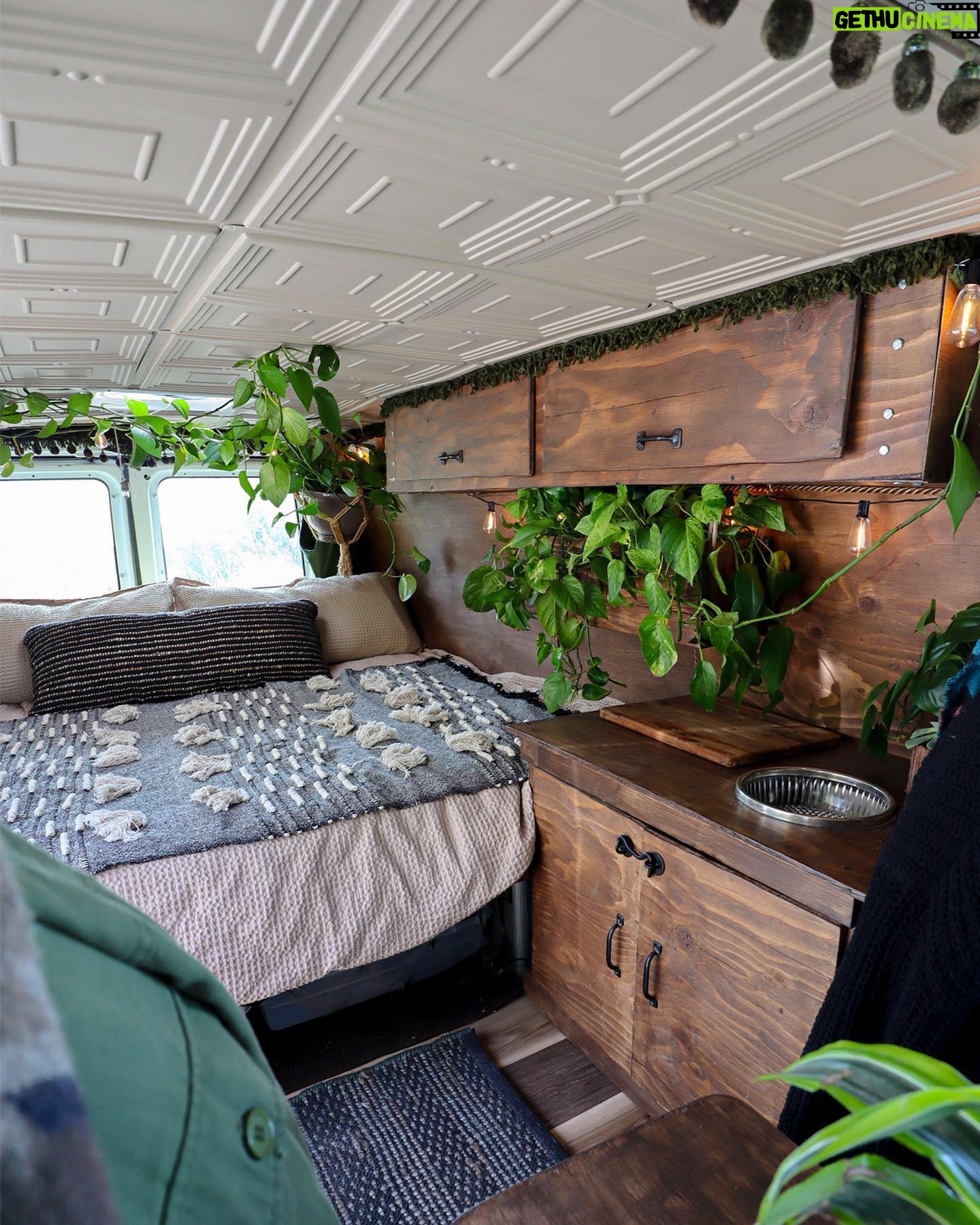 Pearl Liaison - 61K Likes - I might be addicted to building glamper vans 🤫
Powered by @renogysolar
#renogyempowered
#renogypartner