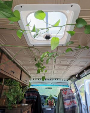 Pearl Liaison Instagram - I might be addicted to building glamper vans 🤫 
Powered by @renogysolar 
#renogyempowered 
#renogypartner