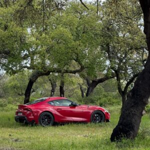 Pedro Alves Instagram - 📸 Um dia perdi-me no monte…..
#desinfluencer #agostinholindo #toyota #supra
