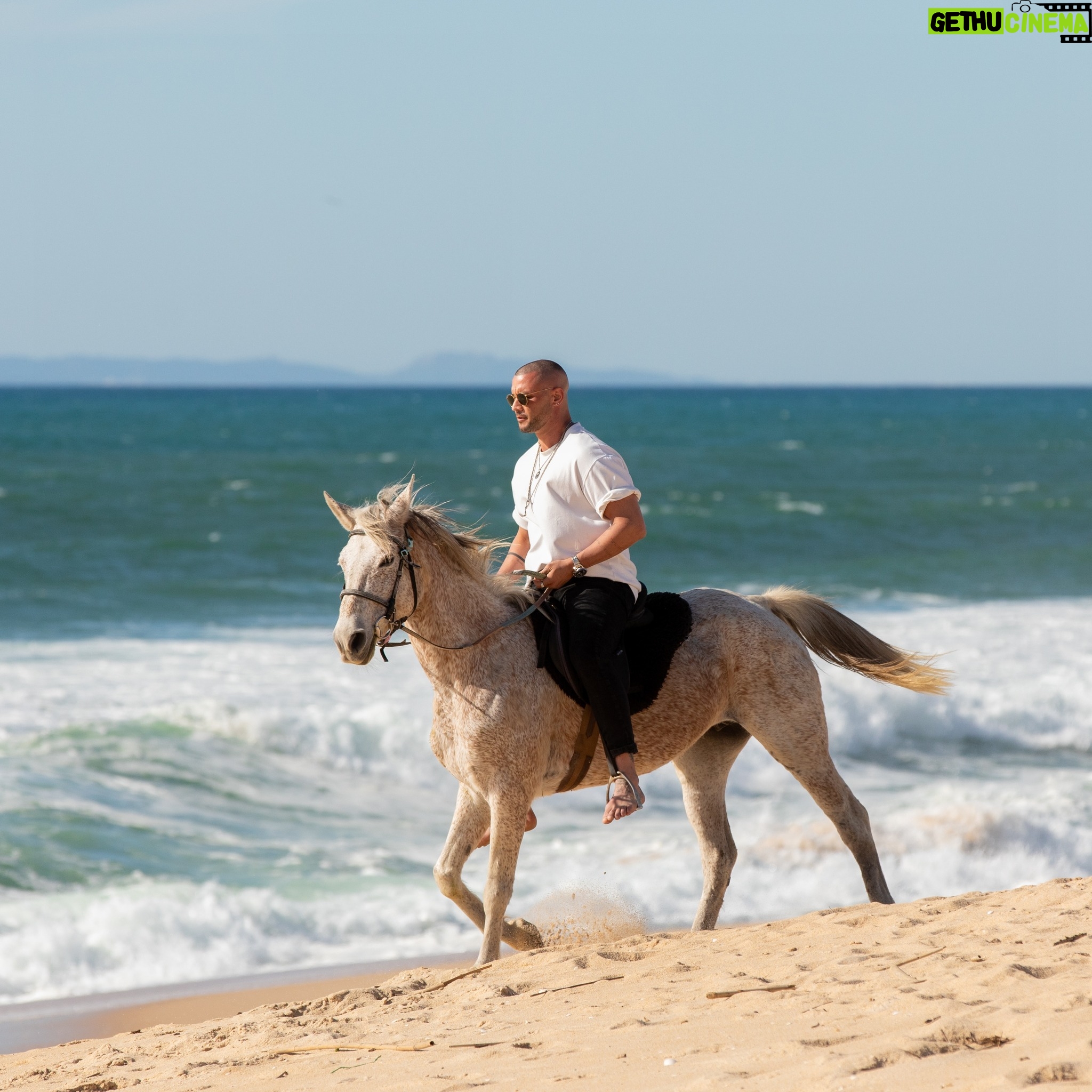 Pedro Barroso - 22.5K Likes - The relationship between human being and creature reveals an ancestral partnership between two free spirits…
@horses_by_the_beach @reservaalecrim
Ph @danielguerreiro0 @nevermindalotphotos