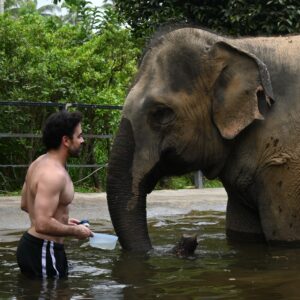 Pedro Carvalho Instagram - Vim conhecer o Santuário dos elefantes em 📍Koh Samui.

Os elefantes deste santuário são resgatados de trabalho forçado como circo, montaria e agricultura, fazendo com que estes animais não consigam retornar ao ambiente selvagem. O dinheiro arrecadado com as visitas e doações é revertido para o bem-estar deles. Resgatando-os, alimentando-os, prestando cuidados veterinários e dando-lhes abrigo e infraestrutura para que possam viver confortavelmente.