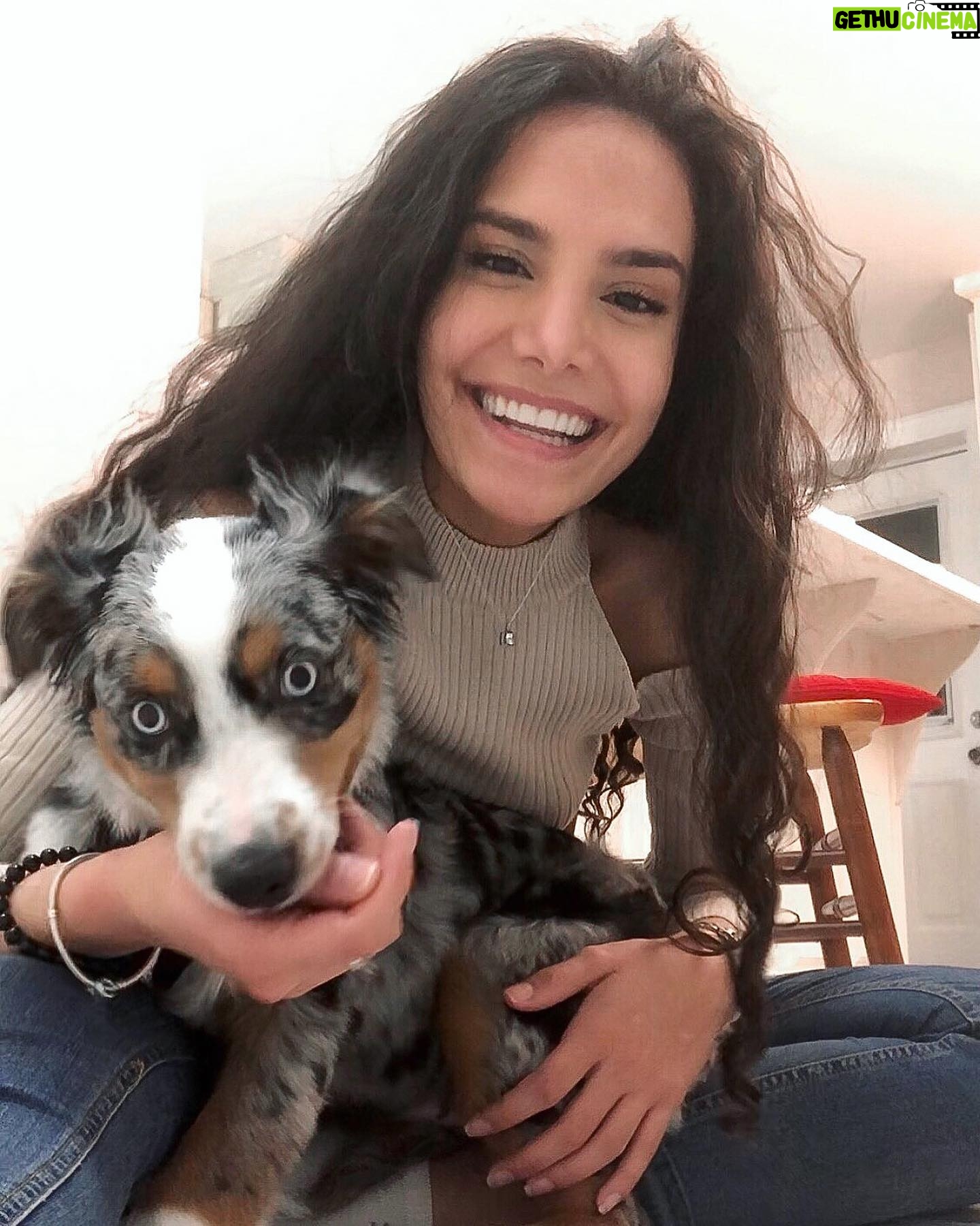 Pegah Ghafoori - 1K Likes - So basically, he’s very smol. 🥰❤️