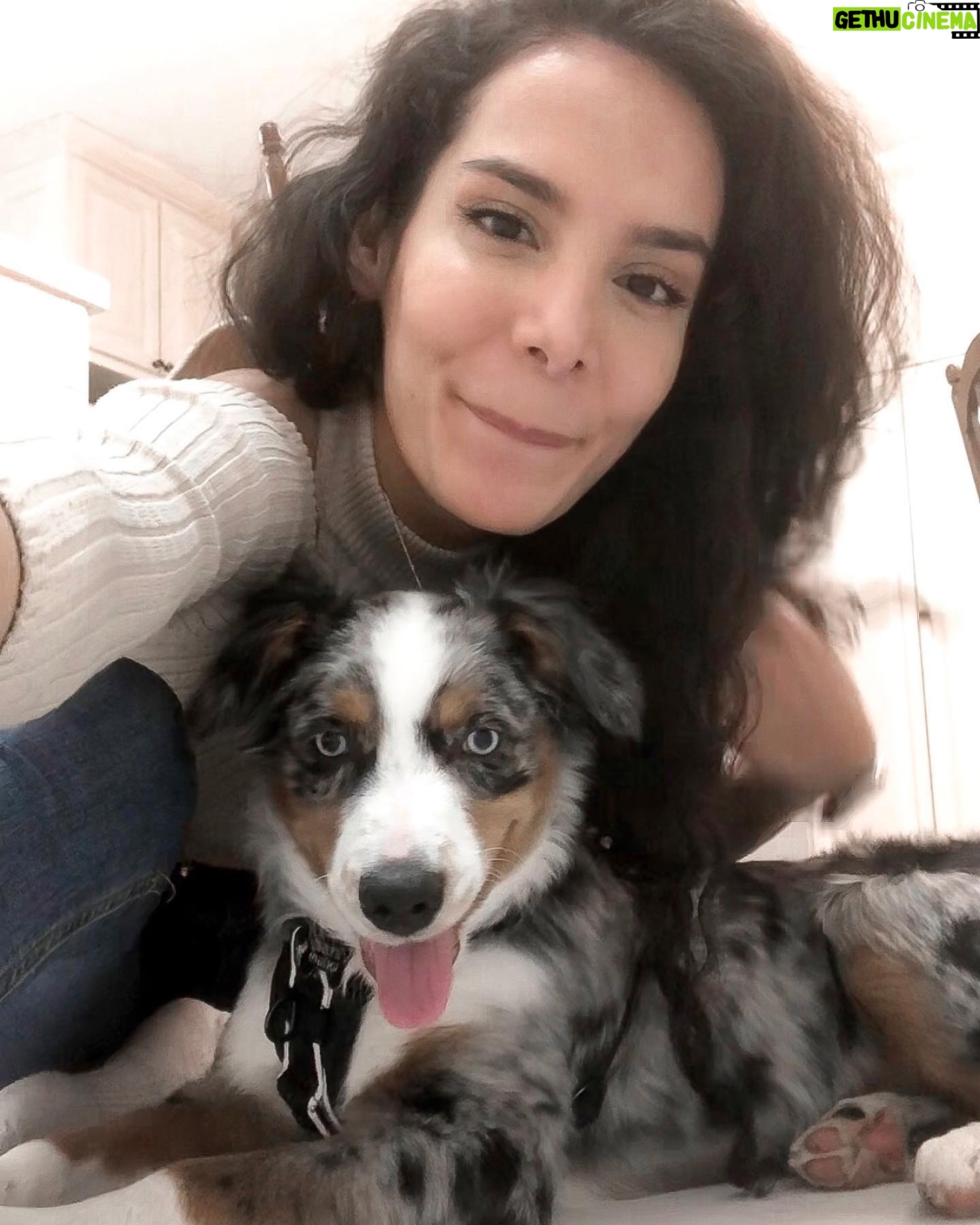 Pegah Ghafoori - 1K Likes - So basically, he’s very smol. 🥰❤️