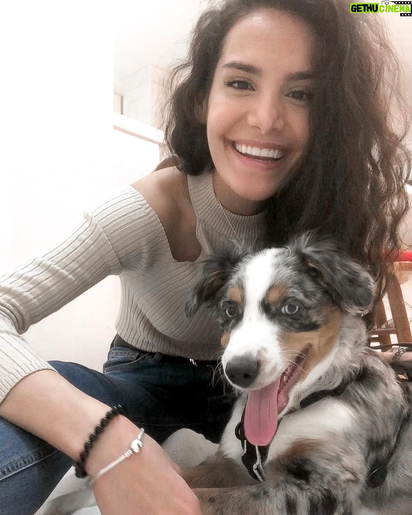 Pegah Ghafoori - 1K Likes - So basically, he’s very smol. 🥰❤️