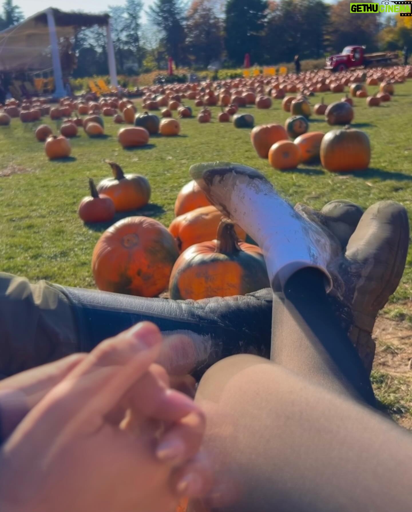Pegah Ghafoori - 3.6K Likes - Spend a little time with me✨🎞️🤍🥂
Little recap of my proudest and favorite memories of 2023. Happy new year my loves🎇