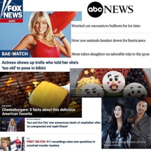 Pegah Ghafoori Instagram - Taking a moment to applaud these news networks and the journalist’s creed they swore to. 
@iman.kay said it best.