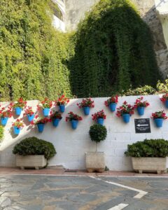 Pepón Nieto Instagram - En Marbella, en este pequeño solar de la calle Ortiz de Molinillo 12, entrando en Virgen de los Dolores, invadido por la vegetación que cubre la muralla del castillo y con este murete lleno de macetas azules con flores rojas, había una casa de dos plantas, pequeña, con apenas 30 o 40 metros de planta. Era la casa de mi abuela Isabel, donde nací yo y pasé los primeros años de mi vida. Me recuerdo hoy corriendo hacia la iglesia de la Encarnación, la plaza de los naranjos, la capilla de la Hermandad del  Cristo del Amor, a la que mi madre me había apuntado nada más nacer y con la que salía de procesión cada tarde de jueves santo. Me recuerdo yendo al kiosco de Carmen a los pies de las escaleras del castillo donde estaba el colegio de las monjas o subiendo a casa de mi abuela Rosario en la calle de los caballeros 10 o a la de mi tía Teresa en la de la Virgen de los Dolores 3. Recuerdo que no había nada más para mi fuera de estas calles. Y que era un niño feliz tumbado en la cama con mi prima Maribel, escuchando a los mayores en el patio. 56 años después, la vida ha dado muchas vueltas pero tengo la sensación, paseando solo por las calles de mi pueblo, de que en lo esencial soy el mismo, un niño de pueblo que adora su pueblo.❤️#marbella #soydemarbella #soyhijopredilecto