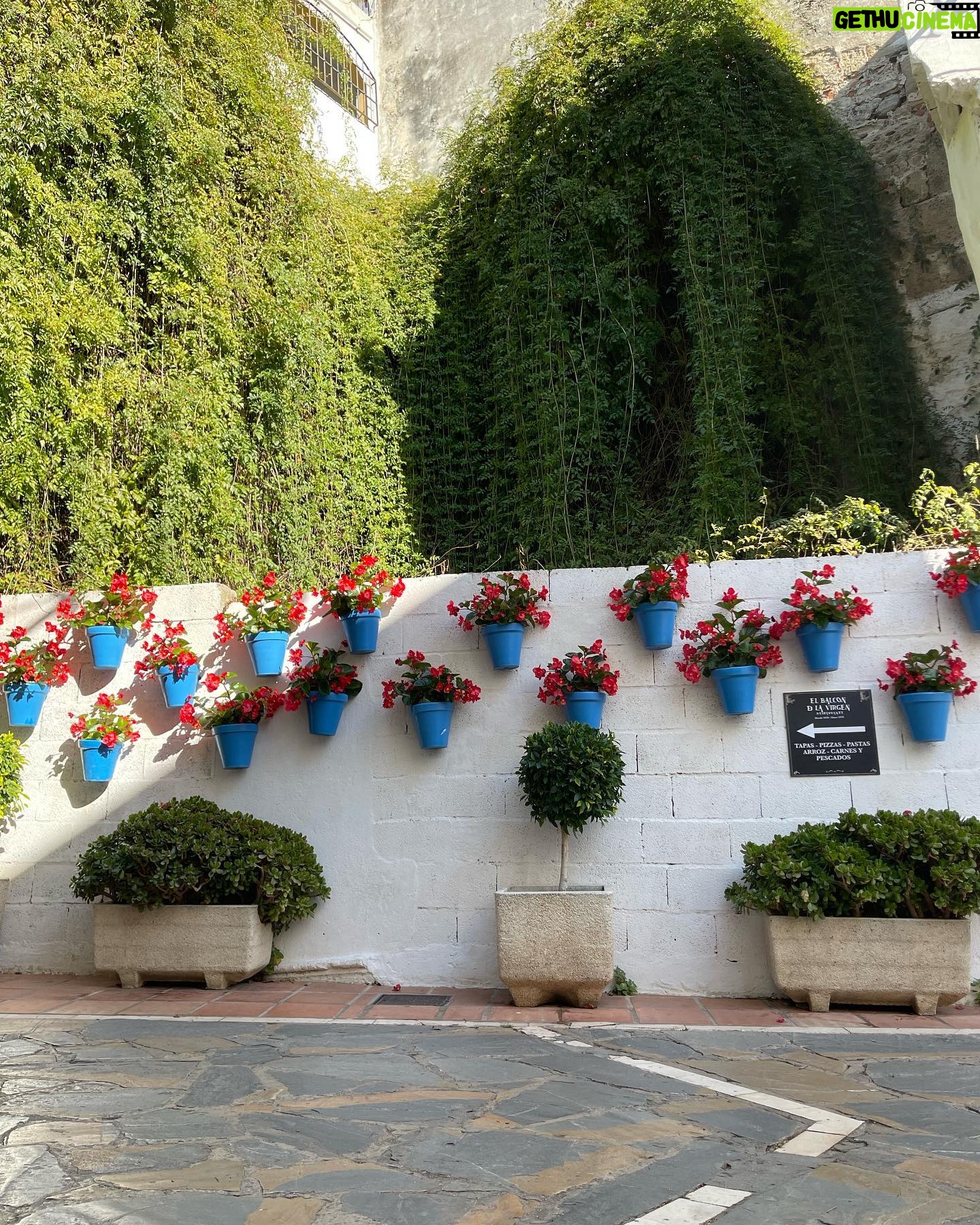 Pepón Nieto - 1.5K Likes - En Marbella, en este pequeño solar de la calle Ortiz de Molinillo 12, entrando en Virgen de los Dolores, invadido por la vegetación que cubre la muralla del castillo y con este murete lleno de macetas azules con flores rojas, había una casa de dos plantas, pequeña, con apenas 30 o 40 metros de planta. Era la casa de mi abuela Isabel, donde nací yo y pasé los primeros años de mi vida. Me recuerdo hoy corriendo hacia la iglesia de la Encarnación, la plaza de los naranjos, la capilla de la Hermandad del Cristo del Amor, a la que mi madre me había apuntado nada más nacer y con la que salía de procesión cada tarde de jueves santo. Me recuerdo yendo al kiosco de Carmen a los pies de las escaleras del castillo donde estaba el colegio de las monjas o subiendo a casa de mi abuela Rosario en la calle de los caballeros 10 o a la de mi tía Teresa en la de la Virgen de los Dolores 3. Recuerdo que no había nada más para mi fuera de estas calles. Y que era un niño feliz tumbado en la cama con mi prima Maribel, escuchando a los mayores en el patio. 56 años después, la vida ha dado muchas vueltas pero tengo la sensación, paseando solo por las calles de mi pueblo, de que en lo esencial soy el mismo, un niño de pueblo que adora su pueblo.❤️#marbella #soydemarbella #soyhijopredilecto