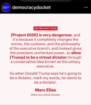 Peri Gilpin Instagram - @democracydocket 🇺🇸