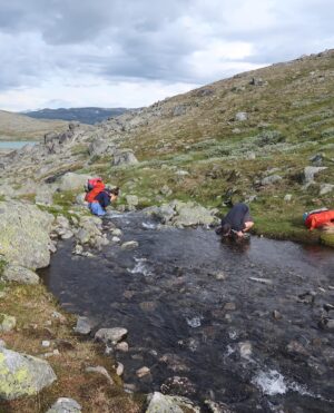Pete Whittaker Instagram - Sørveggen (South Wall) of Gjertvasstind
With 'condensed weekend warriors' @mariaugustahs and @salvesenfjellsport 

nice to get back in the hills and on some technical mountainous terrain/cracks after so much plastic pulling recently.

2nd free ascent? after @lmsolber and @sveslegard 

1. Notice the ice splitter on the left   Øyvind demonstrates crimping cray

2. Setting off on crux

3. Top of crux pitches (was intending to link 2 together, ended up linking 3 by accident 😅)

4. Mari following second to last pitch

5 & 6. Actually the approach even though it looks like the decent...

7. Ended up being a long day. Estimated time back home > Sunday at 11pm. Actual time home > Monday 9pm 😂

A very nice route and trip, thanks Mari and Øyvind

@patagonia_climb
@wildcountry_official 
@sterlingrope 
@unparallelup