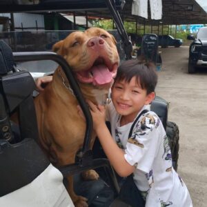 Peter Corp Dyrendal Instagram - น้องแจ๋มน่ารัก #เพื่อนใหม่พูม่า #dyrendal