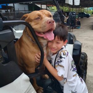 Peter Corp Dyrendal Instagram - น้องแจ๋มน่ารัก #เพื่อนใหม่พูม่า #dyrendal