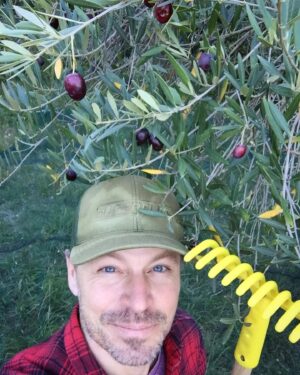 Peter Franzén Instagram - #autumn #harvest continues #simplelife #olives ☀️