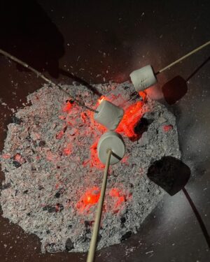Peter Thurnwald Instagram - someone teach me how to roast marshmallows