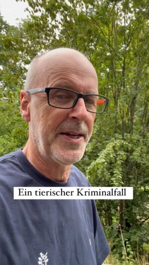 Peter Wohlleben Instagram - Einem tierischen Kriminalfall auf der Spur: wenn grüne Nadeln auf dem Boden liegen, geht’s dem Baum an den Kragen. #wald #bäume #borkenkäfer #natur #tiere #tierwelt #wohllebenswaldakademie #wohllebenswelt